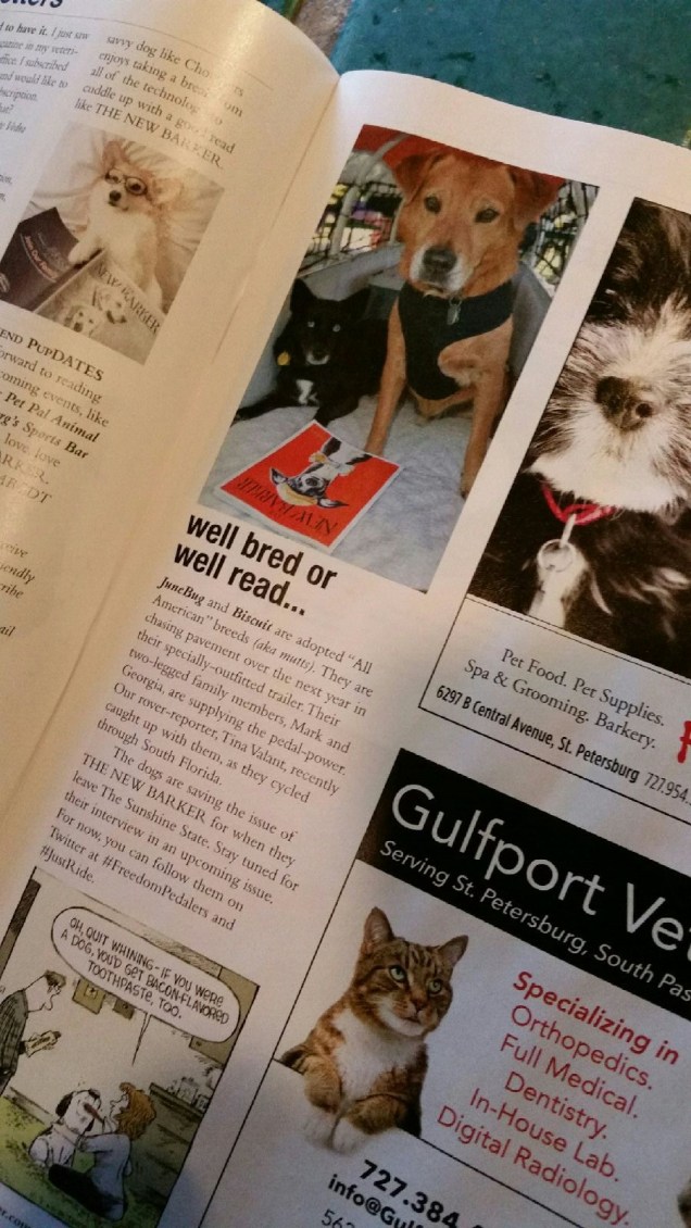 20151225_095039_resized1